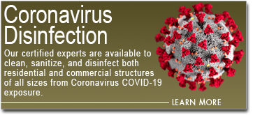 Coronavirus Cleanup and Disinfection